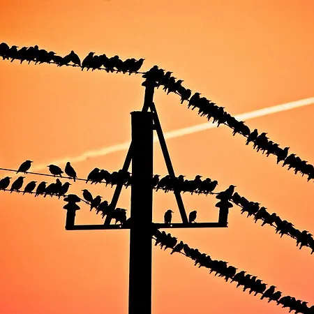 Bed&Breakfast Lemvig 2* Lemvig