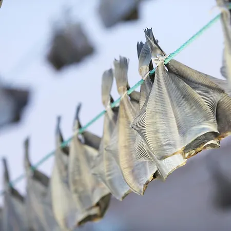 Bed & Breakfast Bed&Breakfast Lemvig