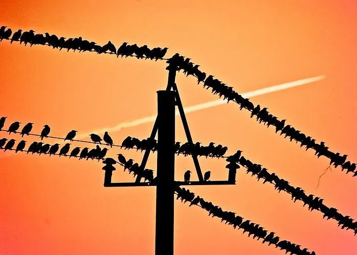 Bed And Breakfast Lemvig 2* Lemvig