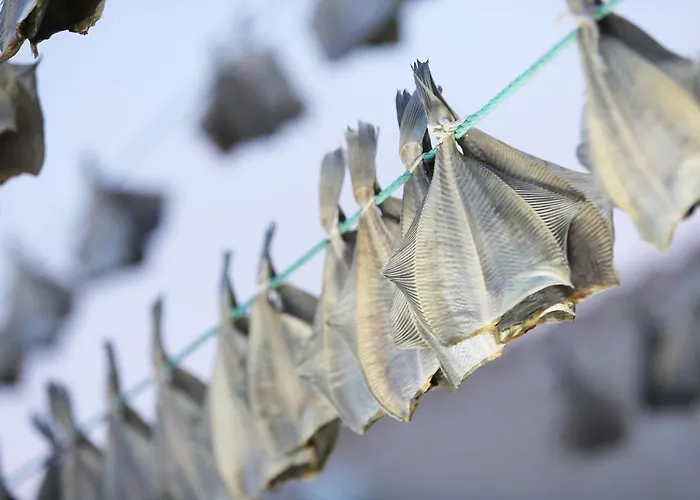 Bed and breakfast Bed And Breakfast Lemvig